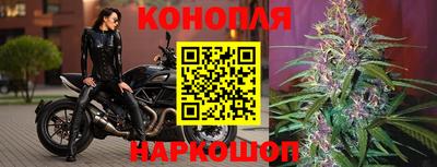 Альфа ПВП Ливны