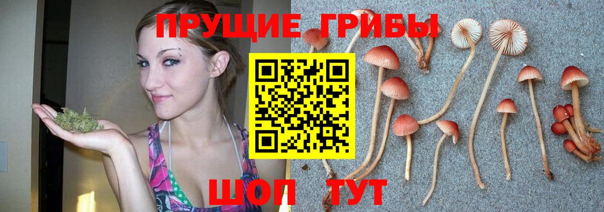 Галлюциногенные грибы ЛСД  Вход с VPN  Каменск-Уральский 